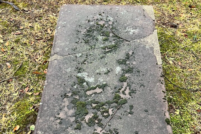 Image 11