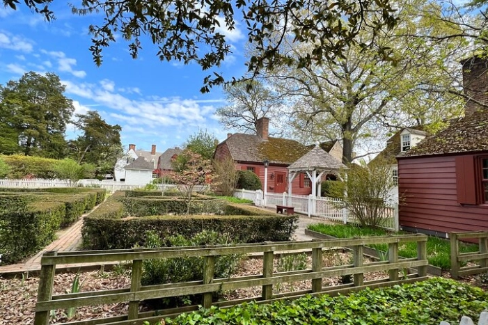 Image 11