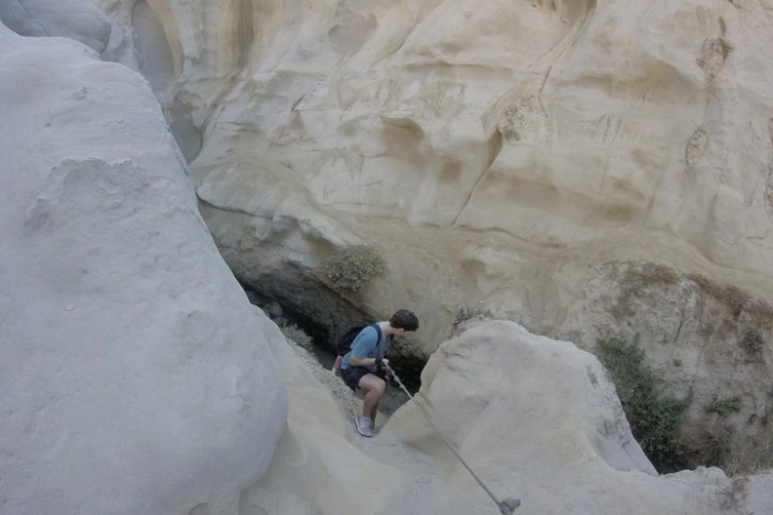 Image 5