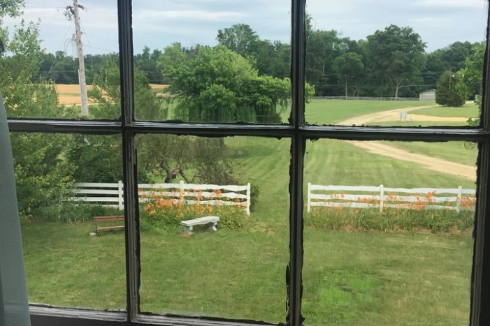 Image 6