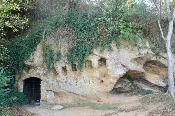 Image 4