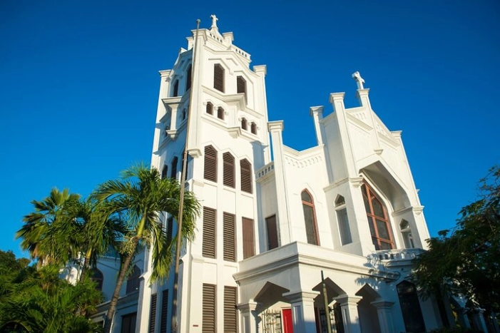 Image 8