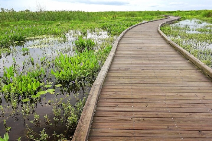 Louisiana Creole Nature Trail Self-Guided Audio Driving Tour