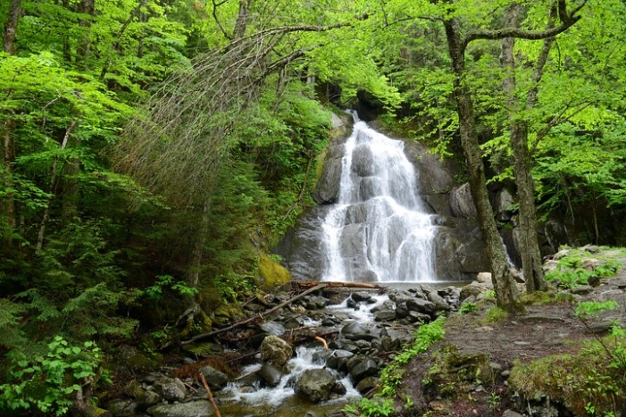 Image 12
