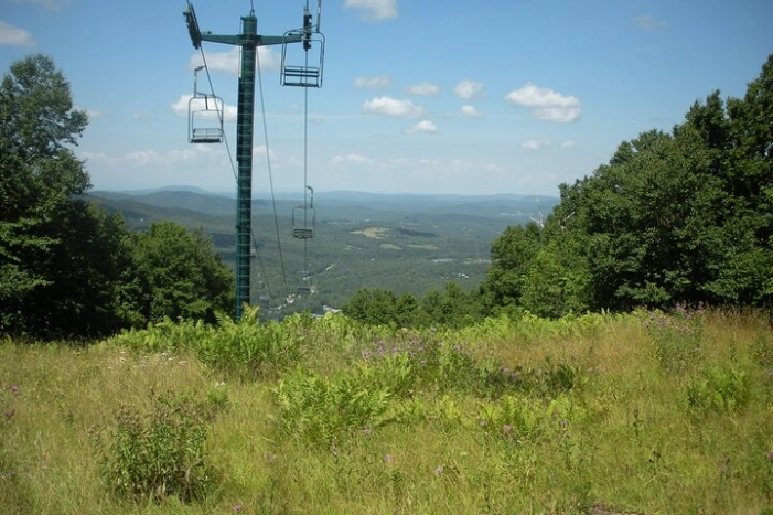 Image 21