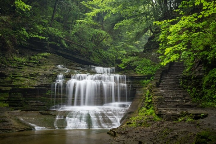 Image 10