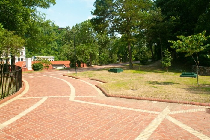 Image 11