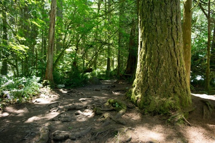 Image 12