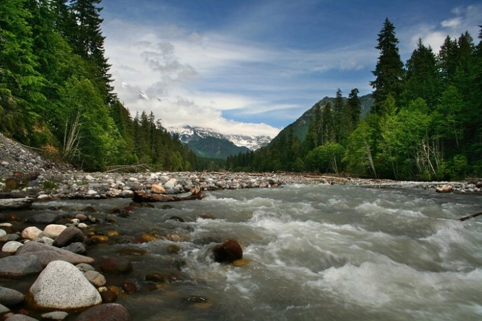 Image 14