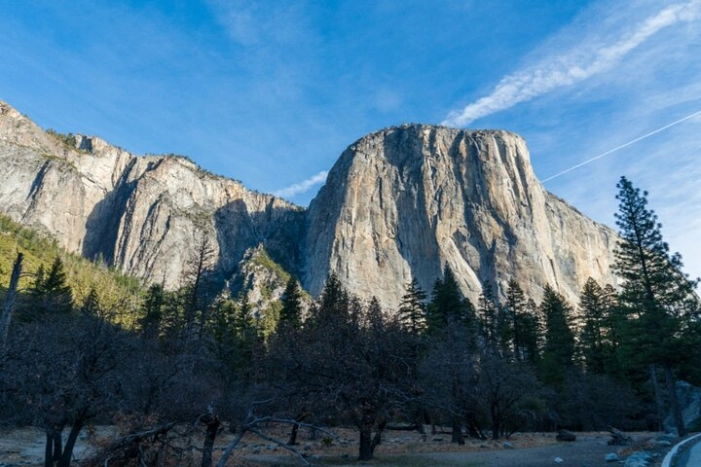 Image 41