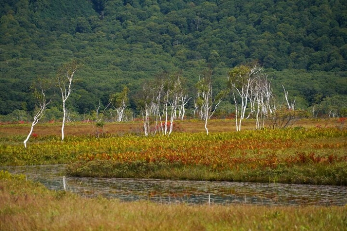 Image 15