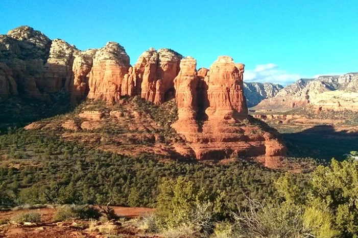 Image 4