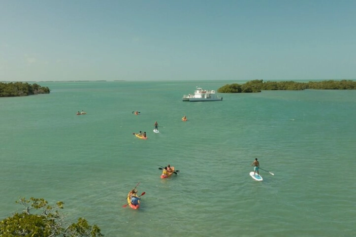 Image 10