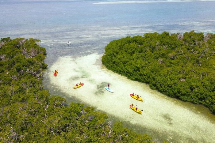 Image 7