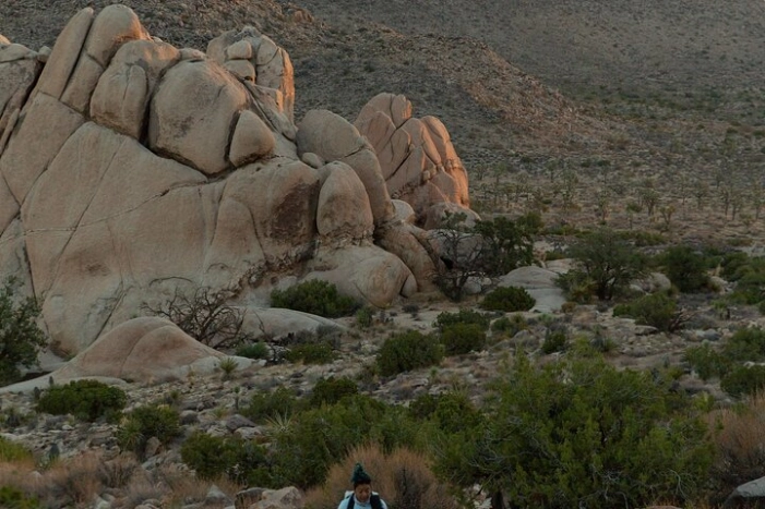 Image 4