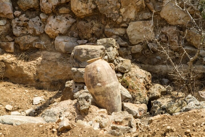 Image 11