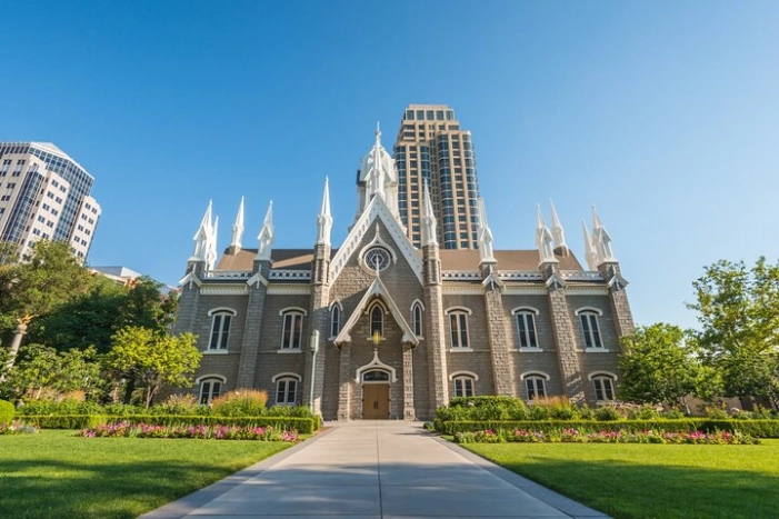Image 7