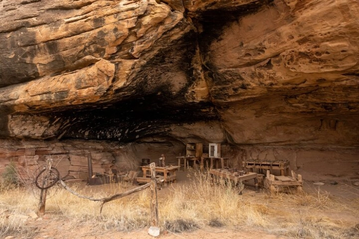 Image 14