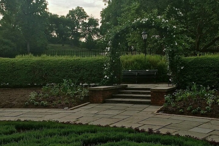 Image 6