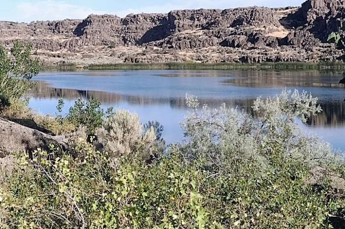 Image 21