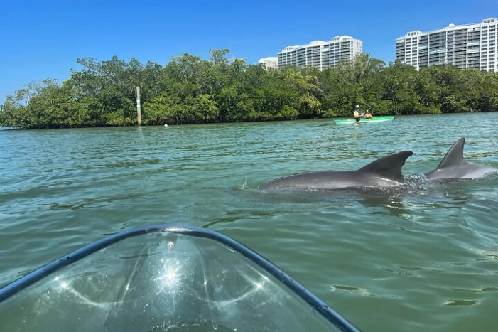 Clear Kayak Guided Eco Tour in North Naples