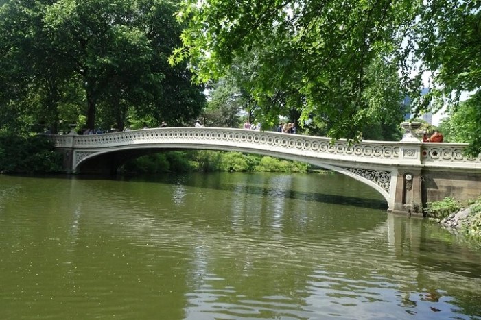 Image 14