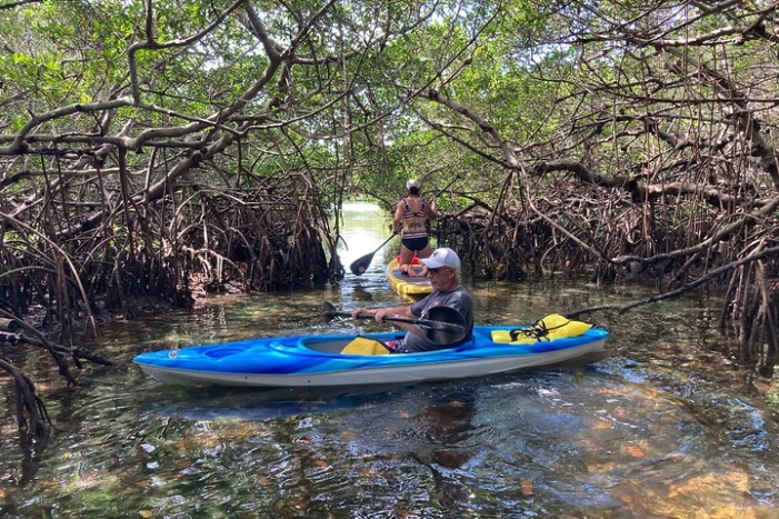 Half Day Rental to John's Pass Sandbar & Mangrove Tunnel