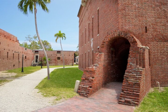 Image 6