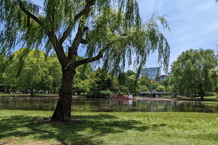 Image 6