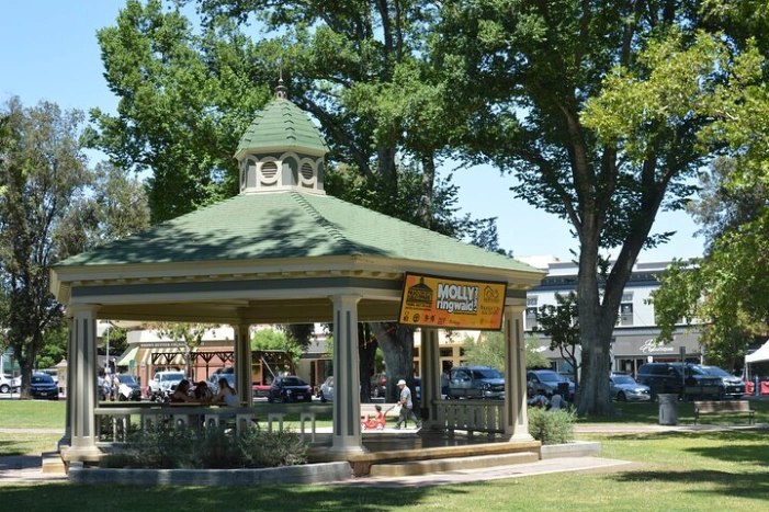 Image 6
