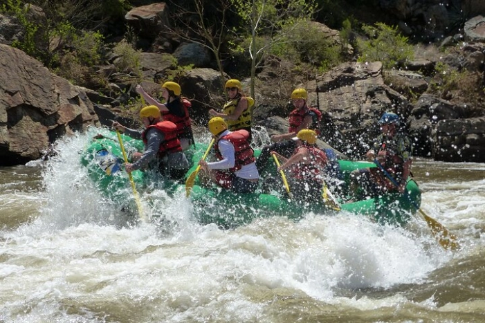 Image 12