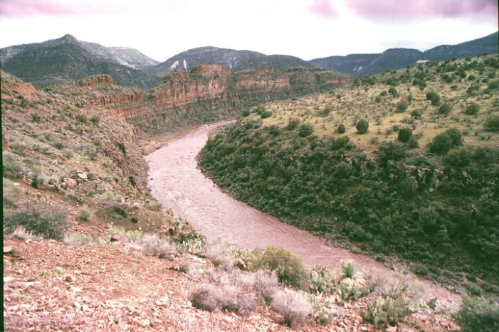 Image 13