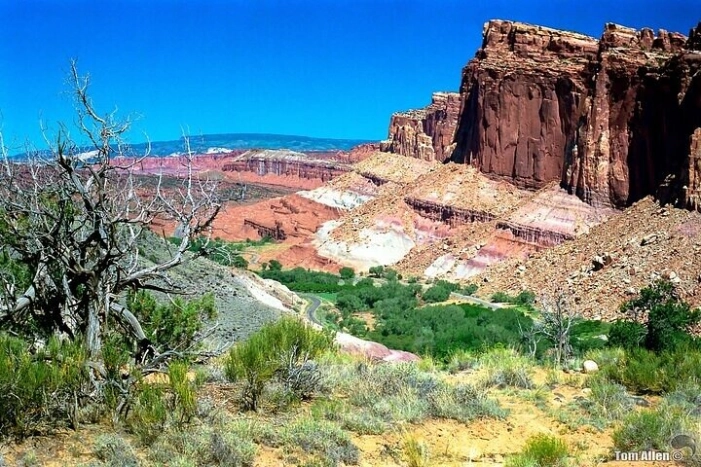 Image 15