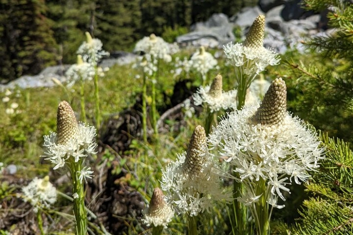 Image 14