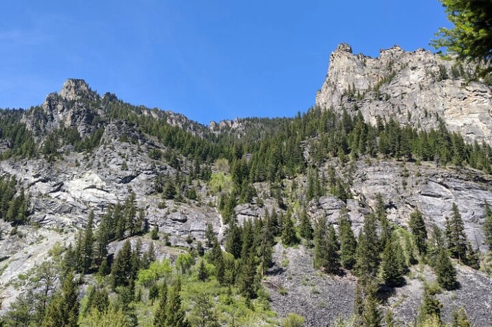Image 18