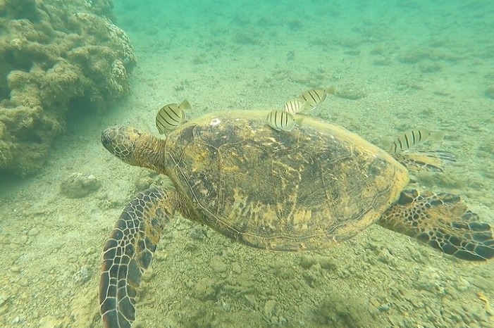 Image 9