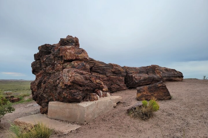 Image 4