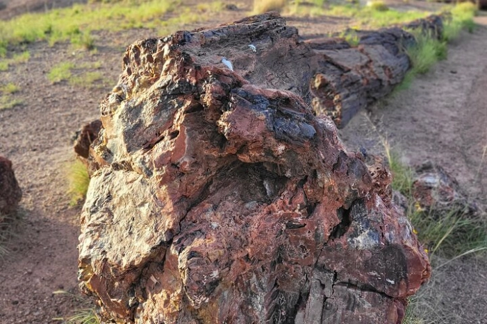 Image 17