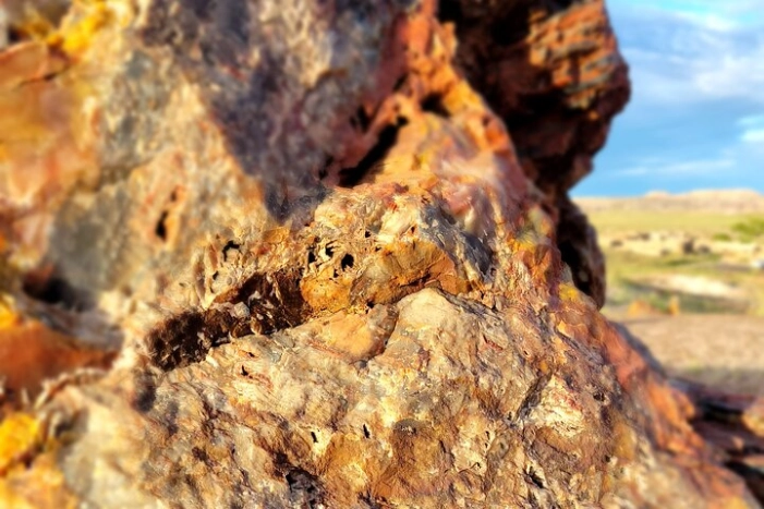Image 21