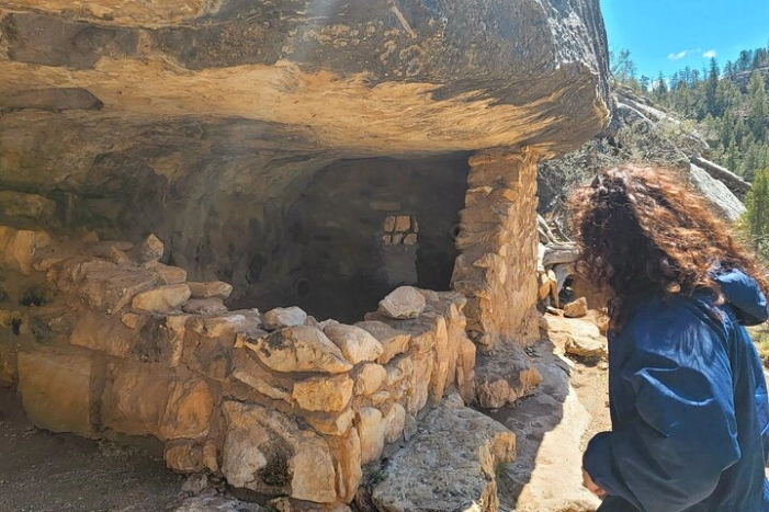 Image 6