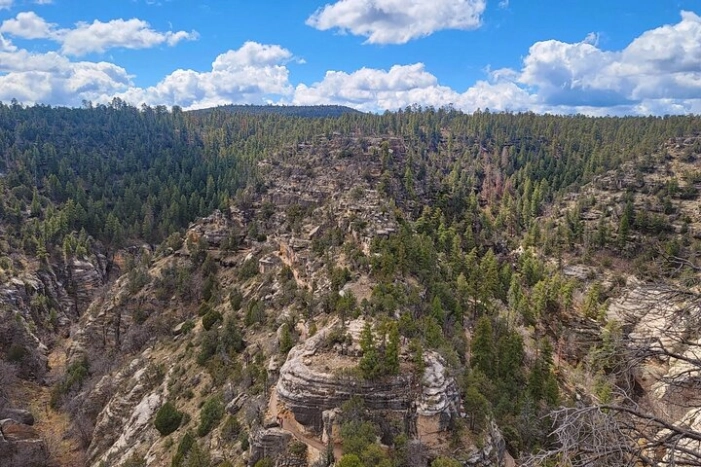 Image 14