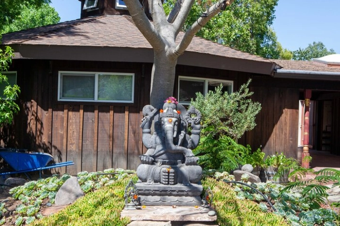 Image 4