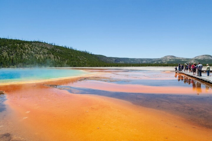 Yellowstone Nat'l Park Full Day Tour From Cody, WY 