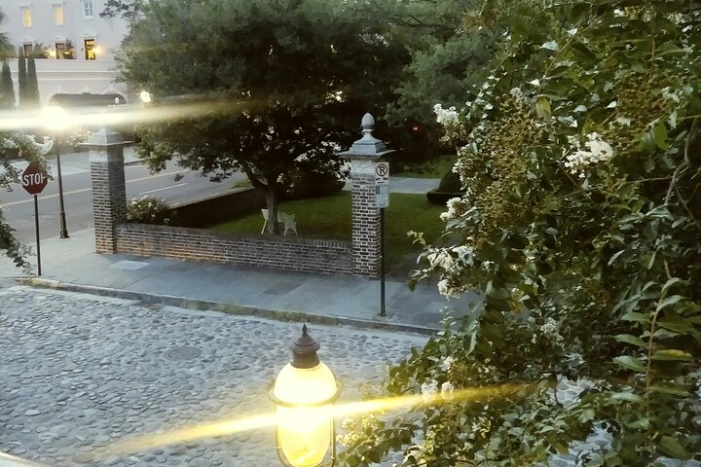 Image 6