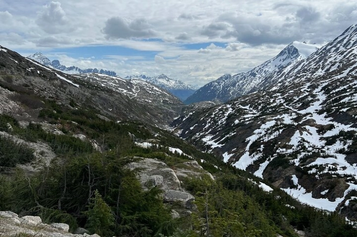 Image 8