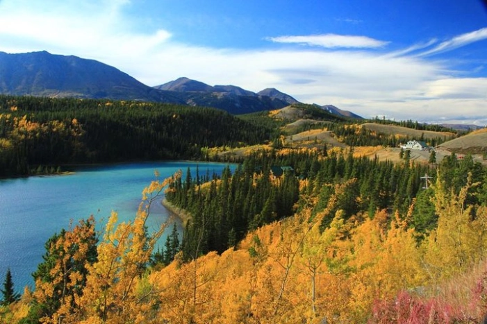 Skagway Shore Excursion: Yukon Discovery Tour