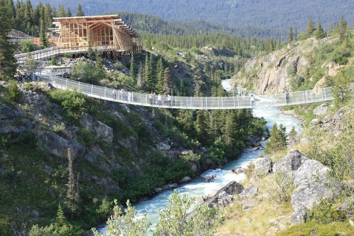 Half Day Yukon Suspension Bridge & Summit Tour