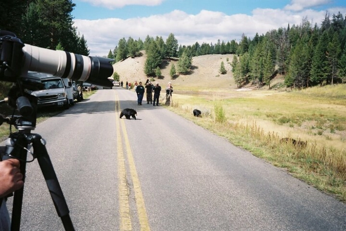 Image 9
