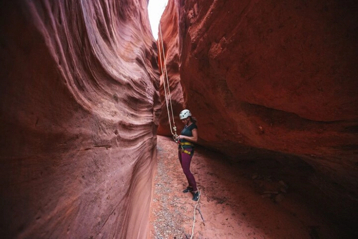 Image 6