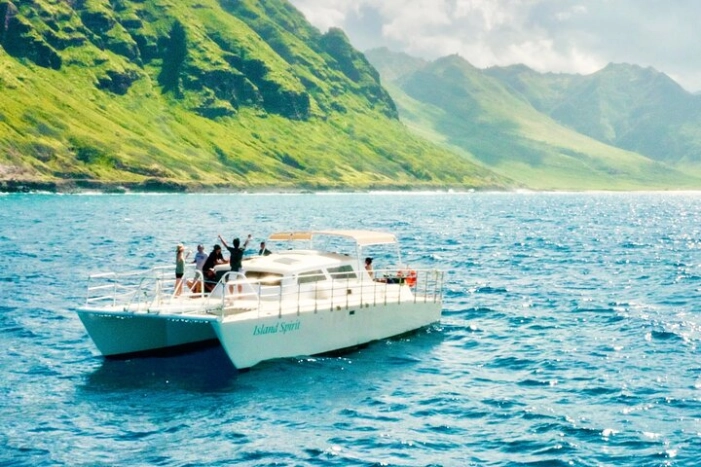 Private Cruise Swim with Dolphin